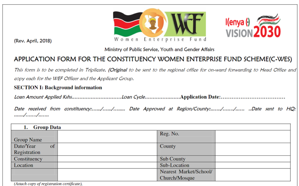Women Enterprise Fund Application Form